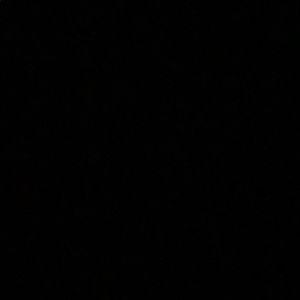 Meet your Posher, Aliya